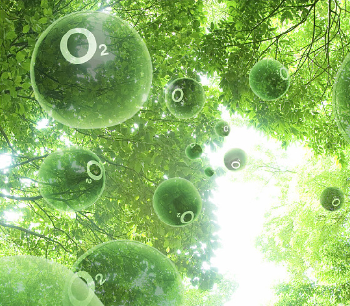 Principle of Ozone-Based Odor Removal via Hydrolysis