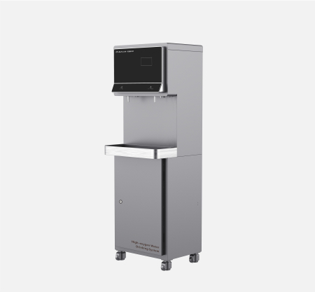 Disinfection water purifier