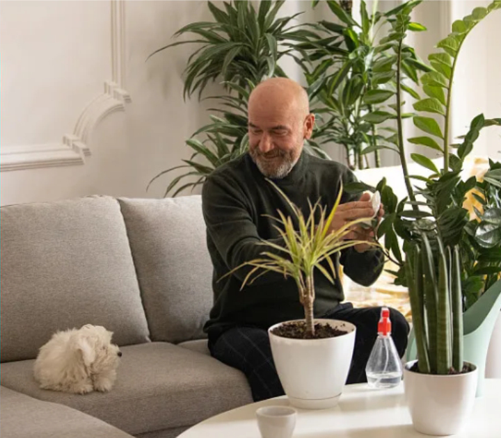 Indoor Air Odors and Microorganisms